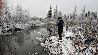 Продолжаем закрывать сезон жидкой воды 😊. рыбалка на удочку.