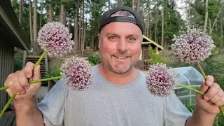 10 EASY SEEDS to SAVE for NEXT YEAR