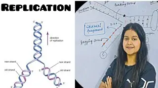 Replication |Molecular basis of inheritance| Genetics - Vijita Sharma #youtubevideos #like #views