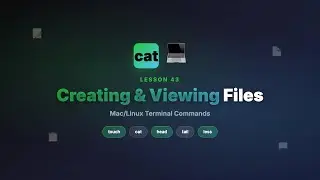 Creating & Viewing Files | touch, cat, head, tail, less, more | Mac/Linux Terminal
