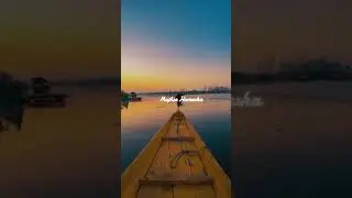 Lyric WhatsApp status