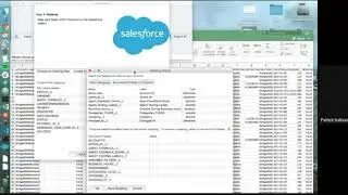 Insert Records with Data Loader