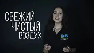 Избавление от сырости, плесени и грибка.