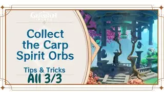 Collect the Spirit Orb Genshin Impact All 3/3