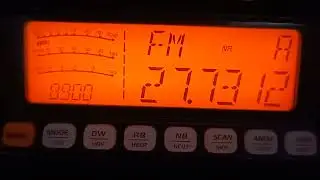 Portsmouth and Anywhere net 06/08/2024 (Short Clip)