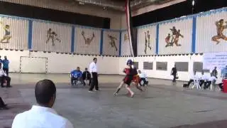 Sanda Fighting