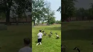 🇺🇸🤝🇺🇦 Американские гуси любят хлебушек