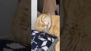 Весна. 
