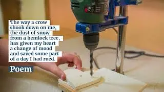 Dust of Snow - Robert Frost