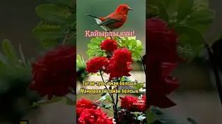 МОИМ ЗЕМЛЯКАМ🎶