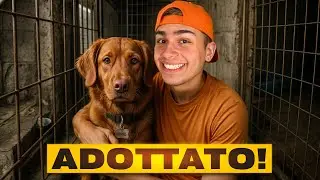 Ho ADOTTATO un CANE per TUTTO il Giorno...