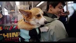 Sound Transit 2 Line Opening Day