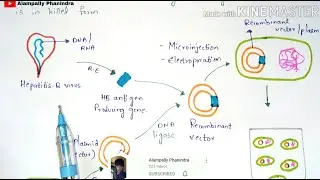 Production of vaccines | HB vaccine | HBv | Procedure | Bio science