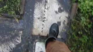 Хорошо на дачке летом…