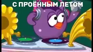 С ПРОЁБ@НЫМ ЛЕТОМ