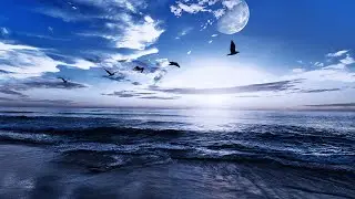 All You Need To Fall Asleep - Ocean Sounds For Deep Sleeping With Rolling Waves