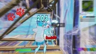 Step 🐾 (Joined DNS)