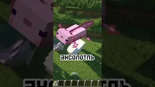 Проверка мифов в #minecraft #roblox #shorts