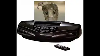 Panasonic Rx Ed 77 убитая кобра
