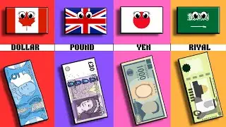 Currency From Different Countries | Pt.1