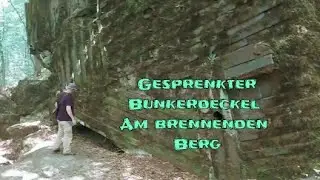 Gesprenkte Bunkerdeckel am Brennenden Berg