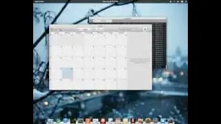 A look at elementary os