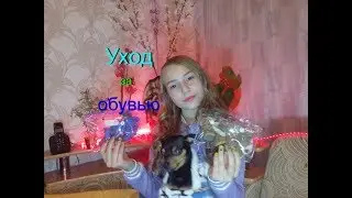 УХОД за ОБУВЬЮ/Как УХАЖИВАТЬ за обувью СОБАКИ?/Собака и ОБУВЬ/Лиза и той- терьер Тайсон.