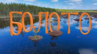Болото. Весенний Паводок. Природа Коми.