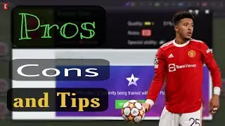 Top eleven Player Academy: things you need to know before training ( and useful tips) #topeleven3d