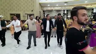 Hasan Çelik & Rojbin Abi. Kına Gecesi. Bablekan. 26.06.2024