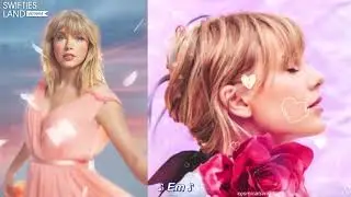 (Vietsub) Taylor Swift - ME! (feat. Brendon Urie) | Guitar version by Taylor