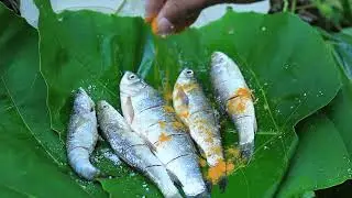 Fish baked in the fire at forest   wild cooking I assamese recipe