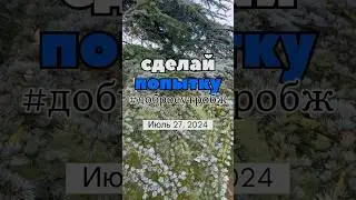 Сделай попытку 