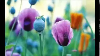 YENİ  en duygusal karadeniz şarkıları türküleri 2015