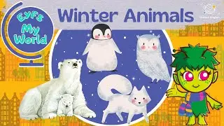 Winter Animals for Kindergarten | EYFS