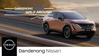 FE0 ARIYA Walkaround