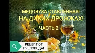 MEAD SET the whole process of preparation part 2.