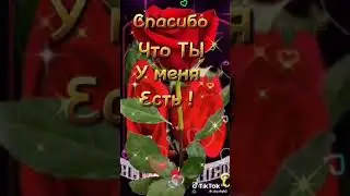 10 сентября 2024 г.