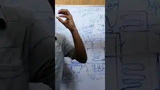 Economiser working #mechanical #science #viralvideo #youtubeshorts #youtube #shortsvideo