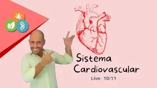 Live Cardiovascular