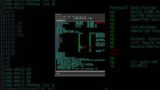 T-Shoot Interface Cisco