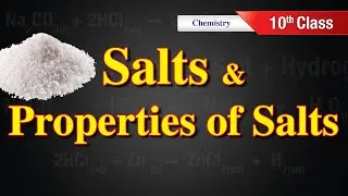 Salts | Salts and properties of salts | Types of Salts | Chemistry | by Scientia Tutorials