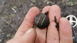 Коп на хуторе. Есть серебро!
