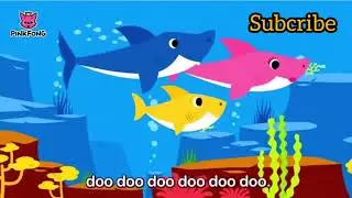 Baby shark