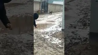 САГЧАН ГАК ДАР ИСТАНСА