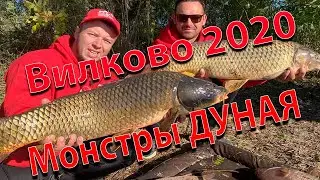 Fishing in Vilkovo, Danube River 2020. Trophy fishing on a savage