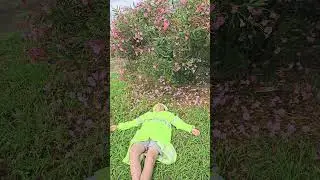спящий Колян