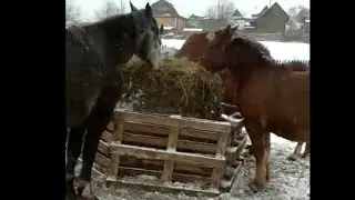 Евро кормушки