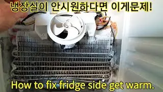 냉동실은 작동하는데 냉장실이 약한 원인아시나요?  Freezer side is looks working but fridge side isn't cooling enough.