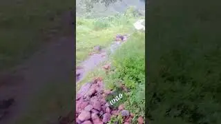 Beautiful waterfall 😍